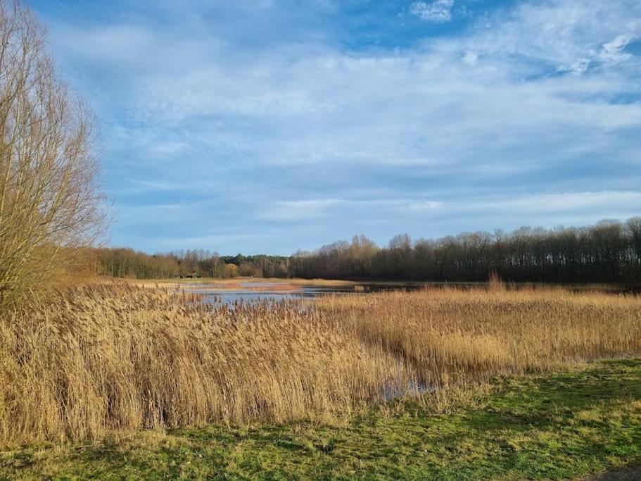 Luxe-Avontuur In Een Romantische Cabin In Het Bos Stekene Eksteriør bilde